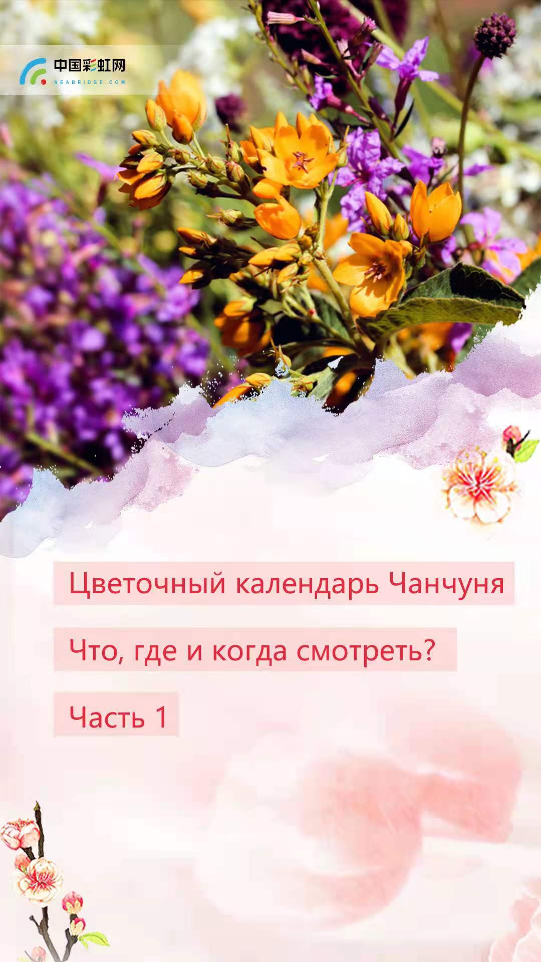 Цветочный календарь Чанчуня